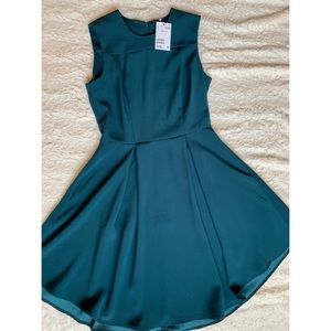 H&M Fit and Flare Dress